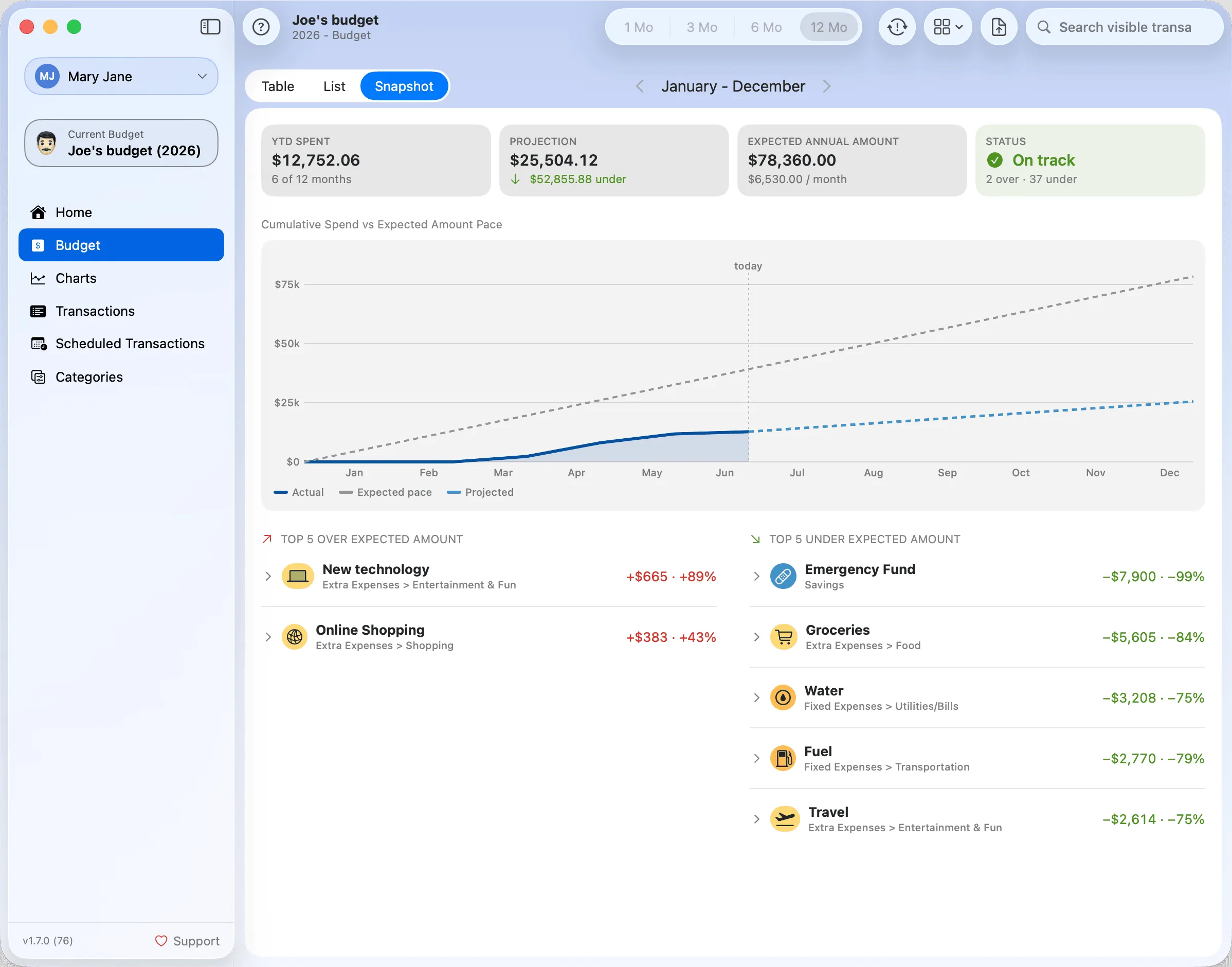Budget Snapshot view