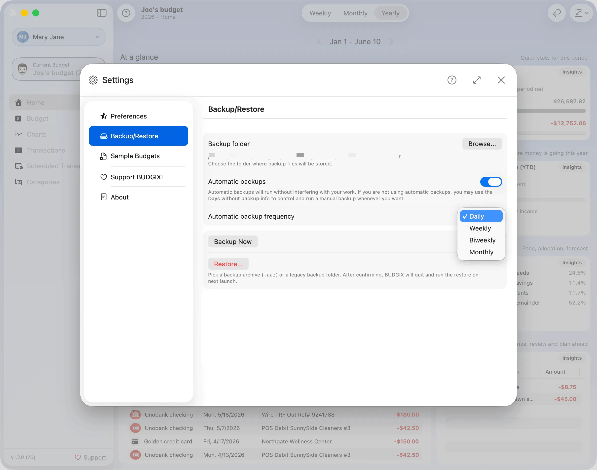 Budgix Settings - Backup
